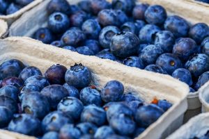 blueberries-3474854_640