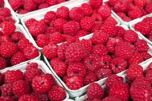 raspberry-1465988_640